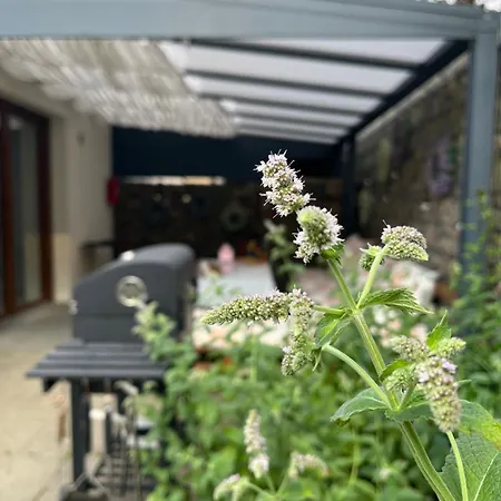 Pachnie Mieta * Скоженцин