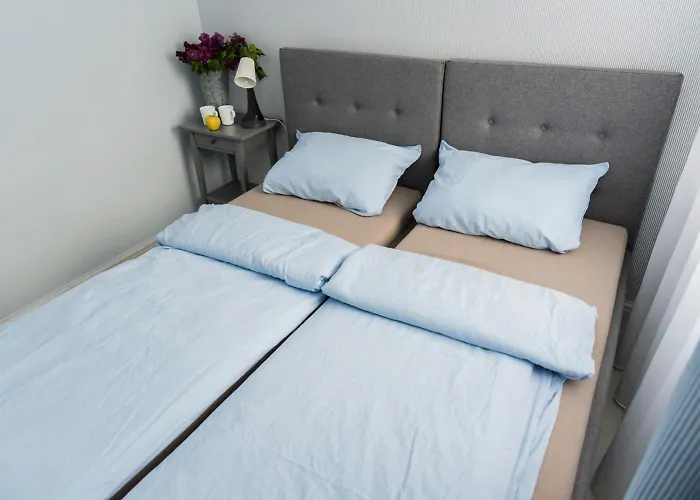 Pachnie Mieta Skorzecin