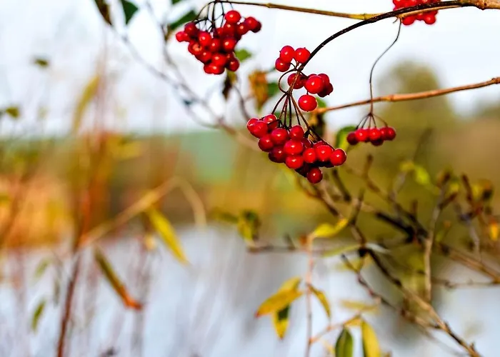 Apartment Pachnie Mieta